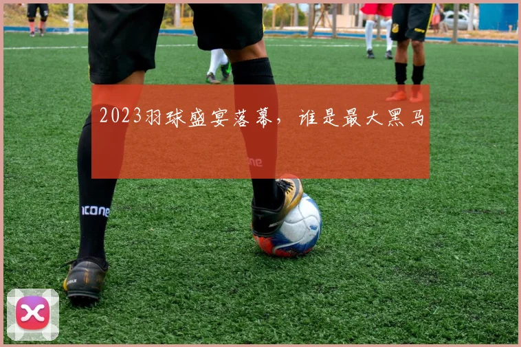 2023羽球盛宴落幕，谁是最大黑马